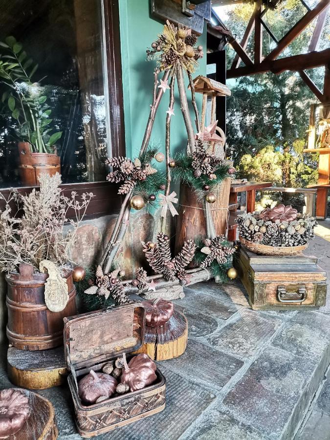 مبيت وإفطار Stajicevo Etno Kuca Teodora المظهر الخارجي الصورة
